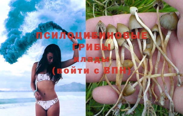 соль ск Алексеевка