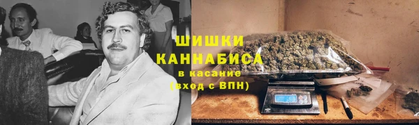 соль ск Алексеевка