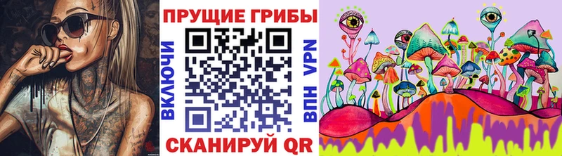 наркота  Нижние Серги  Галлюциногенные грибы мицелий 